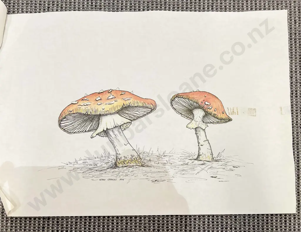 Three Loose Works By Kerry Carman Image 1++