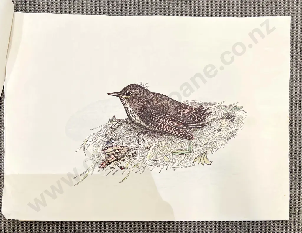 Three Loose Works By Kerry Carman Image 1++