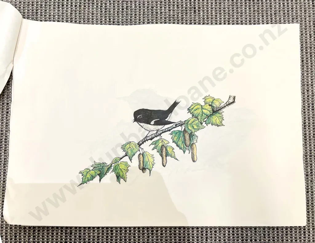 Three Loose Works By Kerry Carman Image 1++