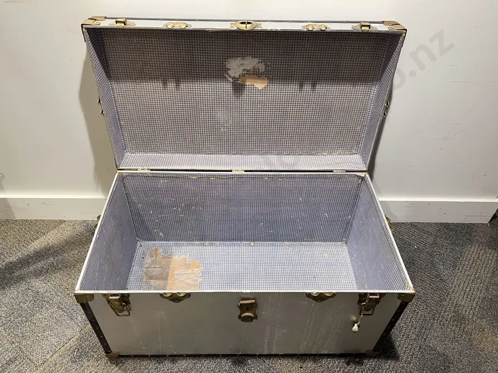 Travel Trunk Image 1++