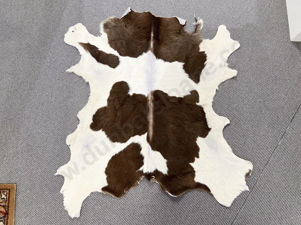 Small Cow Hide Rug Image 1++