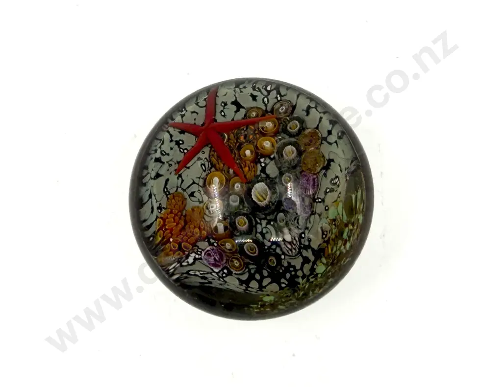 Peter Raos "Sea Secret" Art Glass Paperweight Image 1++