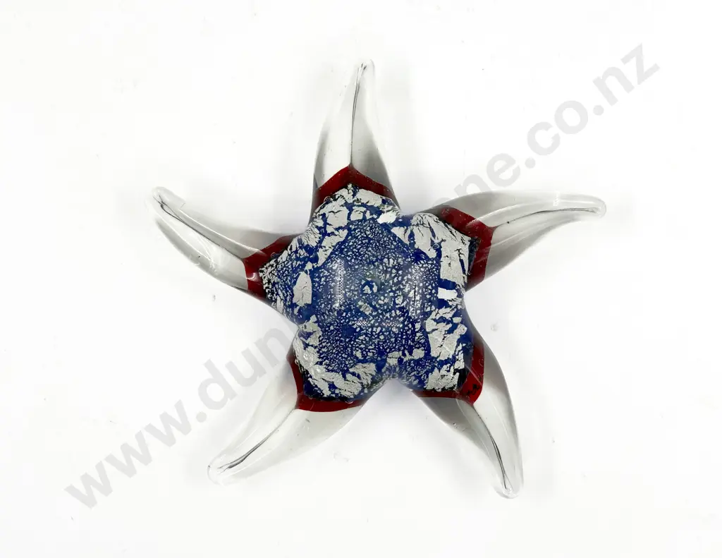 Murano Starfish Image 1++