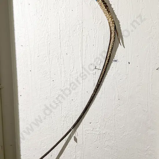 Stingray Tail