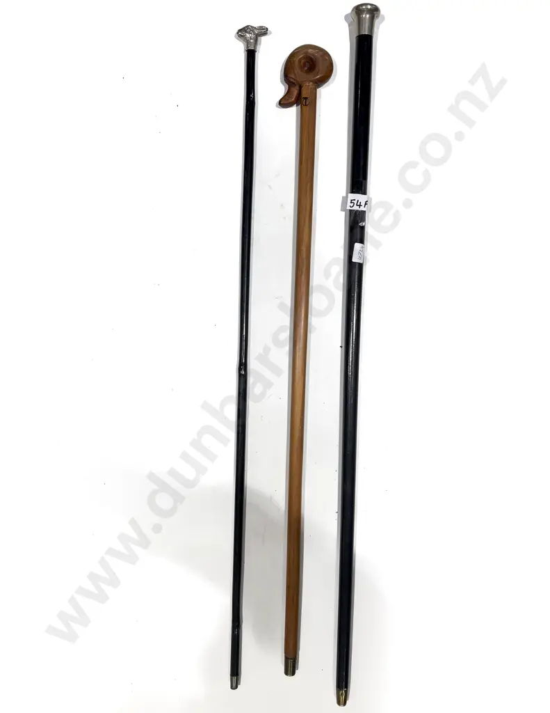 Three Assorted Walking Sticks Image 1++