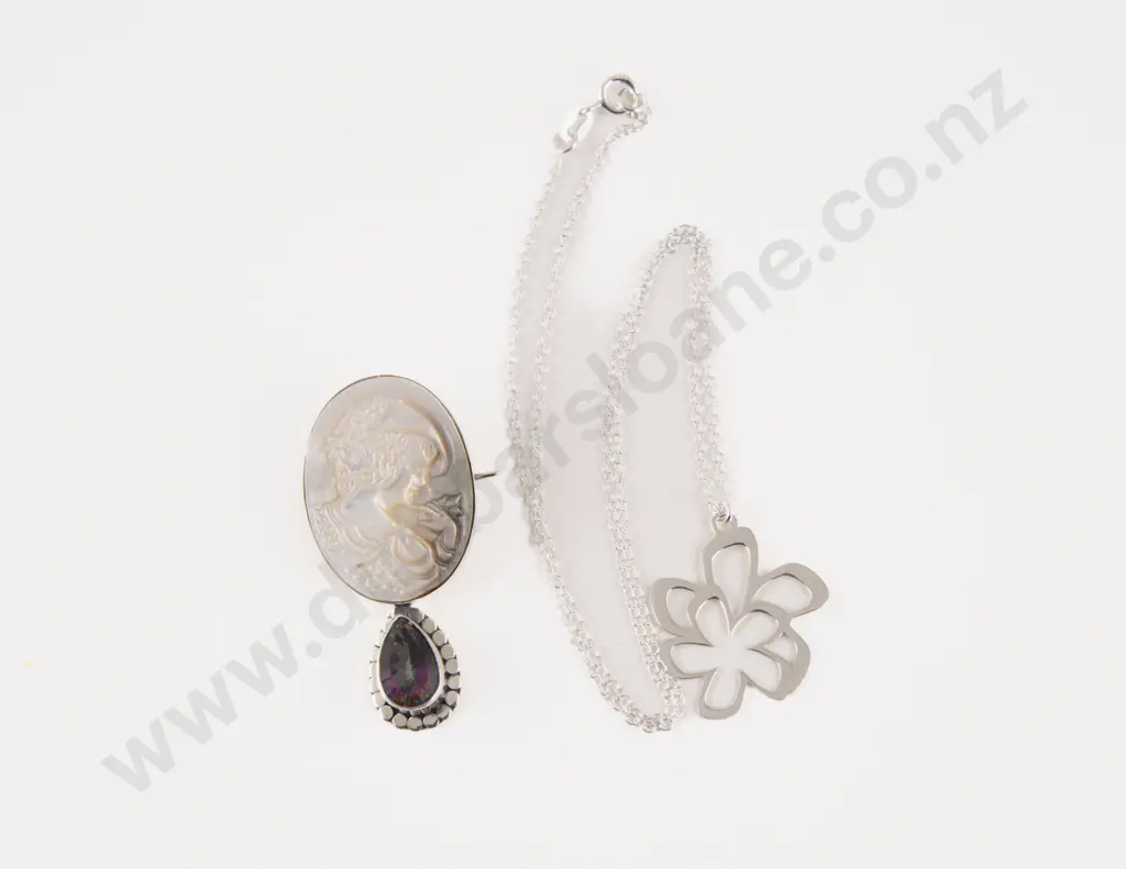 S/S and Paua Portrait Brooch with Flower Necklace Image 1++