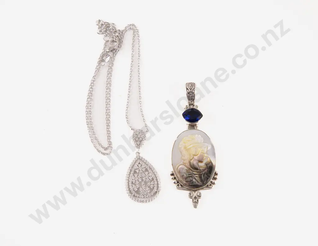 S/S and Paua Portrait Pendant with Crystal Necklace Image 1++