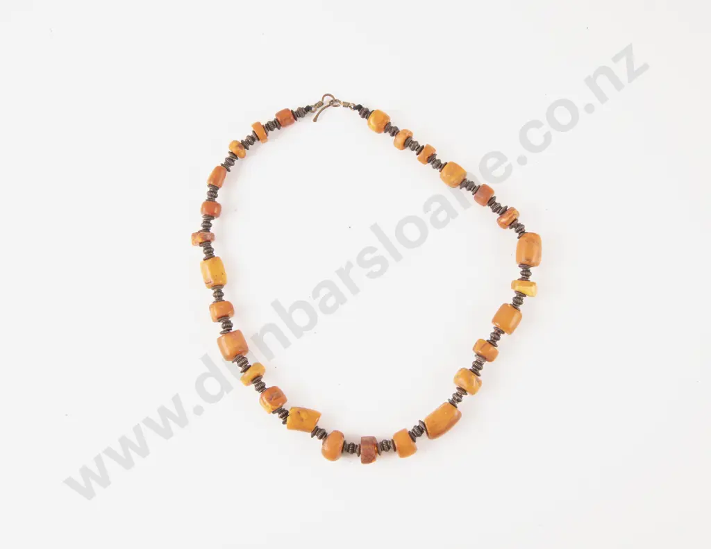 Single Strand Amber Beaded Necklace Image 1++