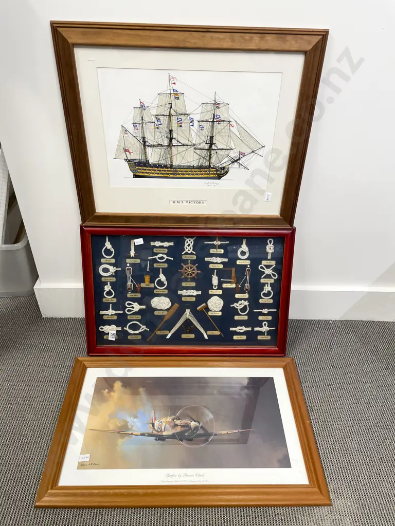 Framed Knot Display and Two others Image 1++