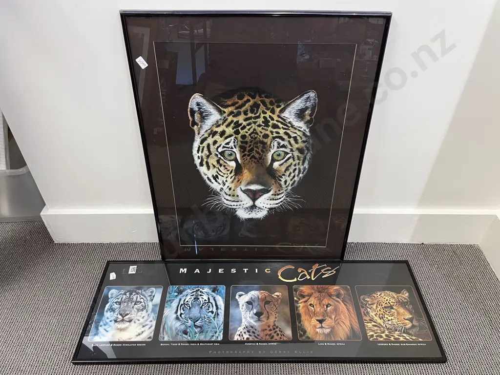 Two Framed Big Cat Works Image 1++