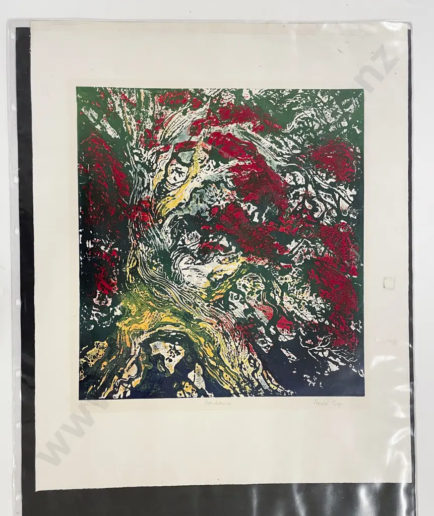 Harold Coop - Pohutukawa - Ltd Ed Print (unframed) Image 1++