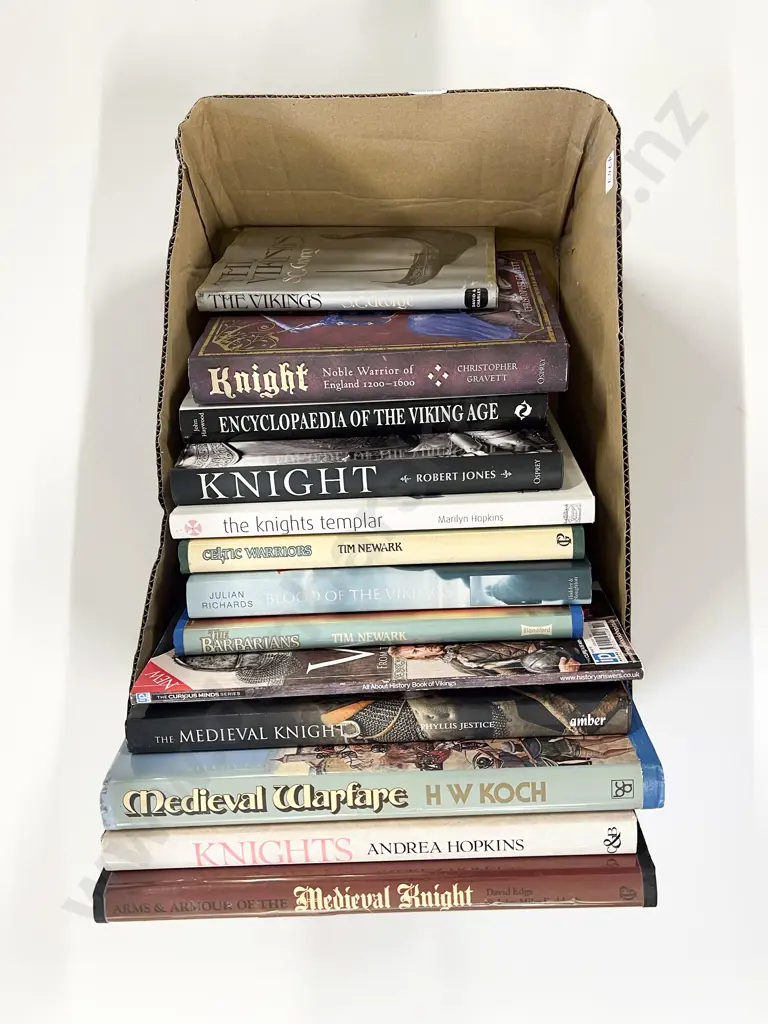 Box of Assorted Medieval Reference Image 1++