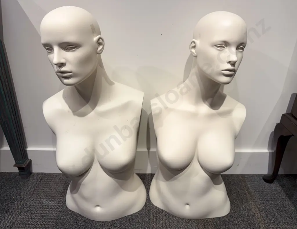 Pair of Mannequins Image 1++