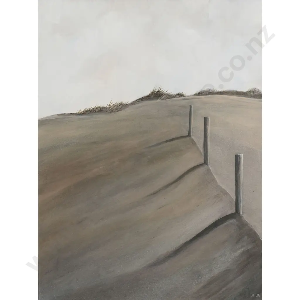Bruce Hunt - Patea Beach Image 1++