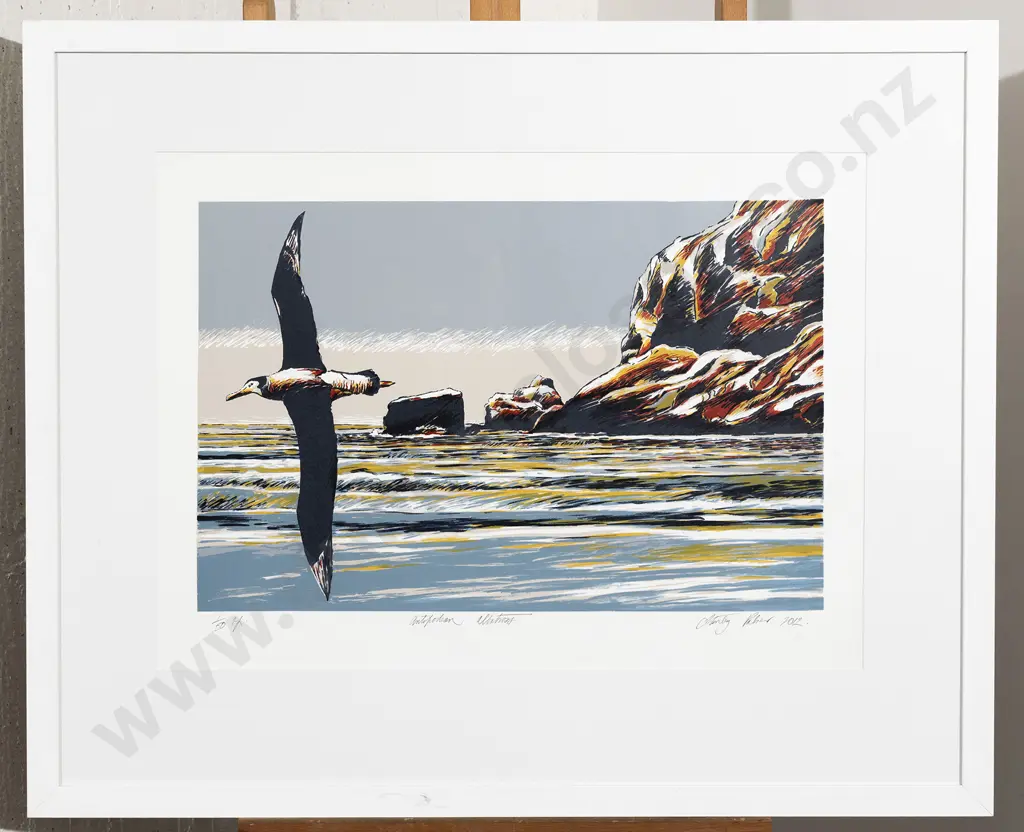 Stanley Palmer - Antipodean Albatross Image 1++