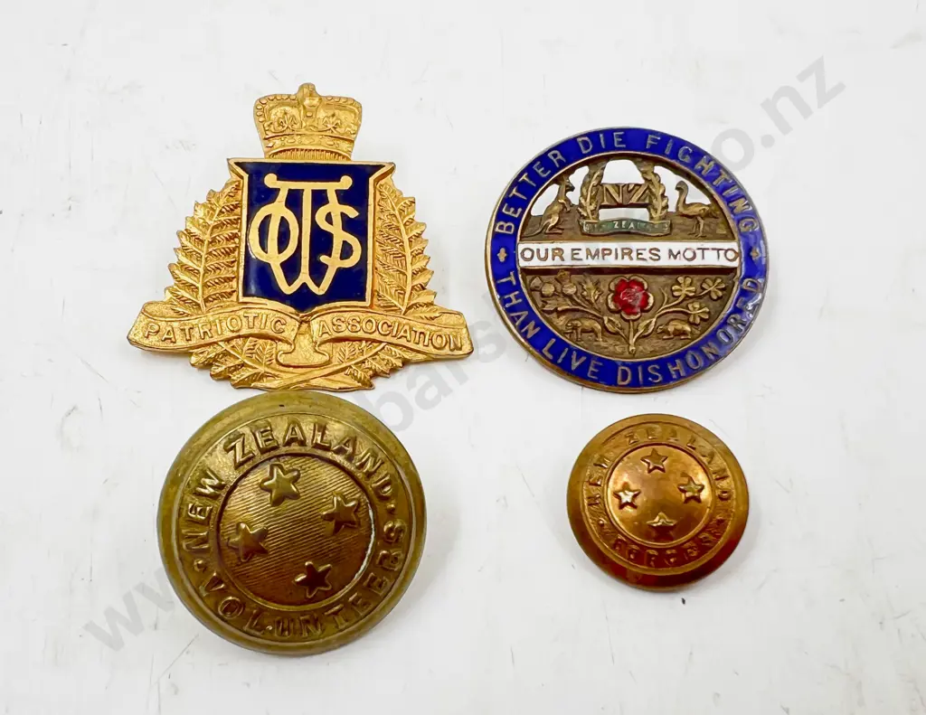 Two Patriotic Brooches Image 1++