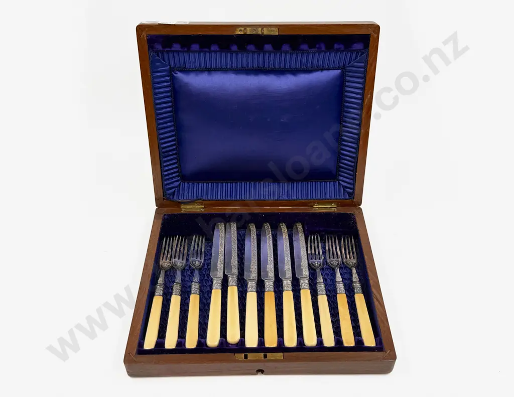 Cased Bone Handled Fish Service Image 1++