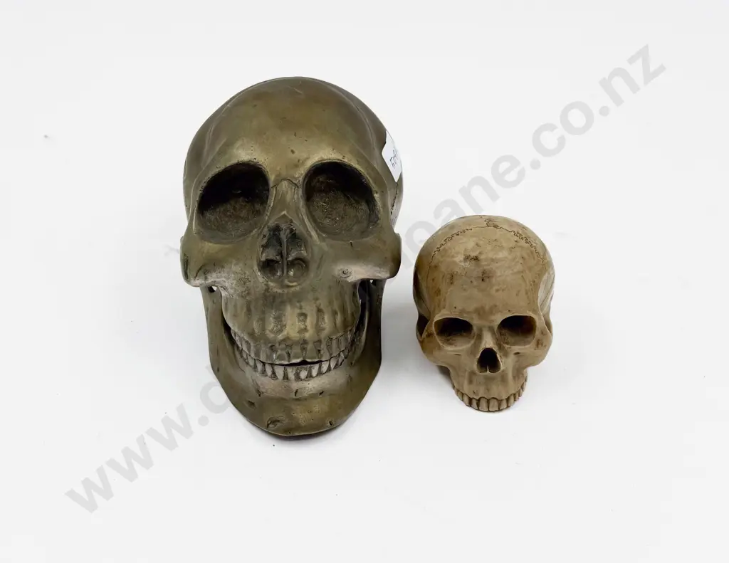 Brass Skull and Other Skull Image 1++