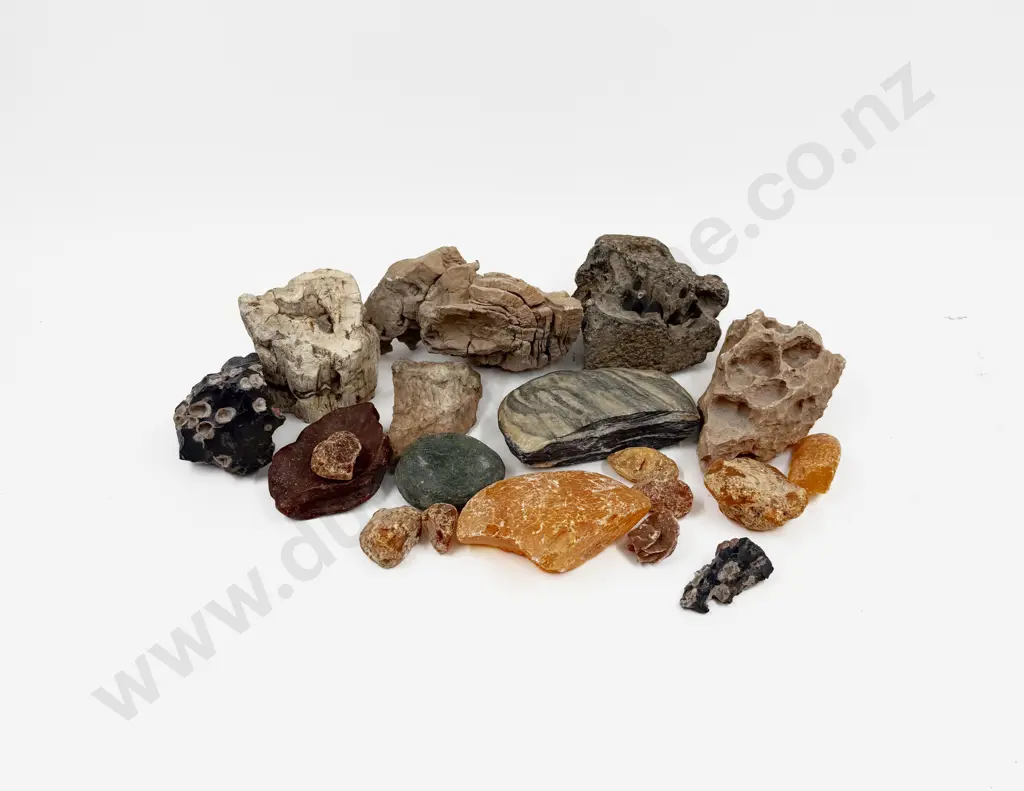 Qty of Assorted Geological Samples including Kauri Gum Image 1++
