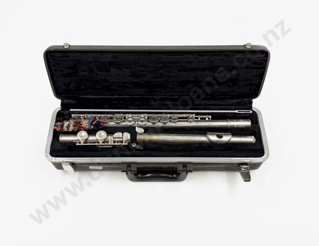 Cased Flute Image 1++