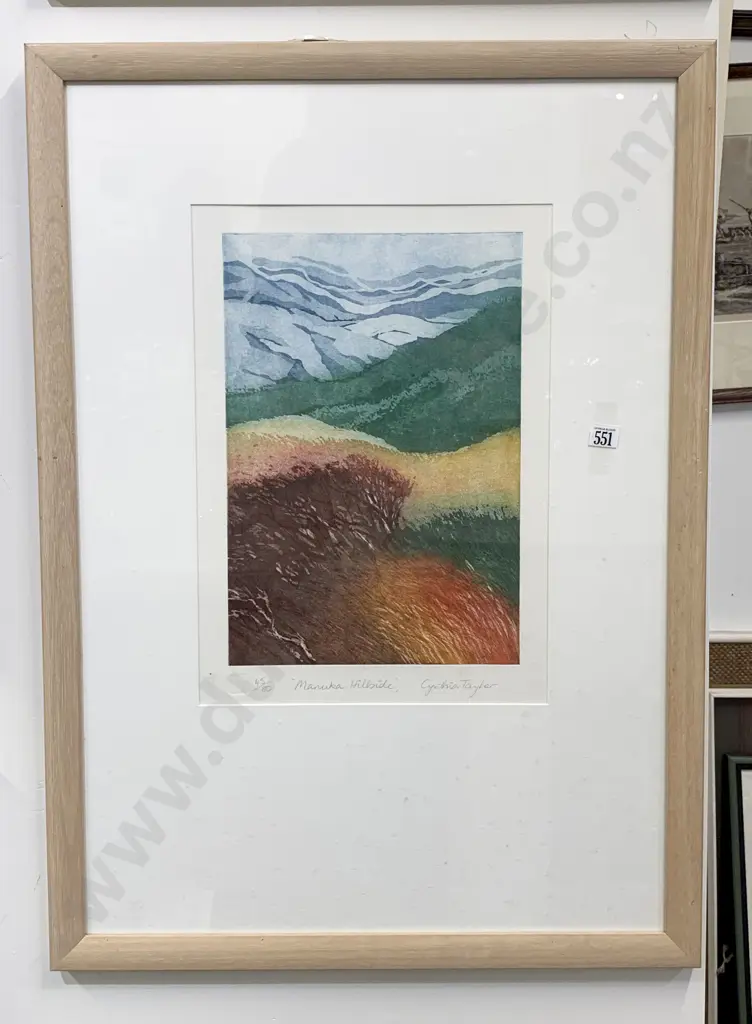 Cynthia Taylor - Manuka Hillside - Ltd Ed Print Image 1++