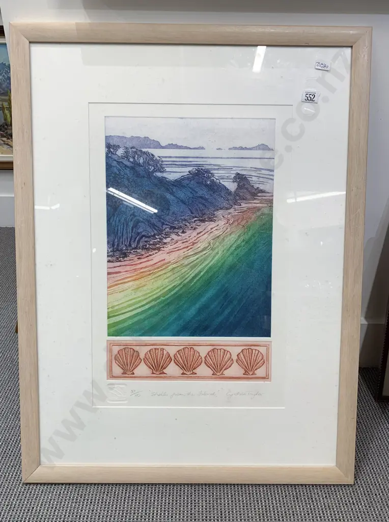 Cynthia Taylor - Shells from the Island - Ltd Ed Print 37/80 Image 1++