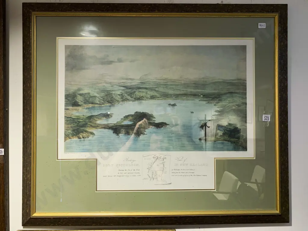 Birds Eye View of Port Nicholson in New Zealand Print Image 1++