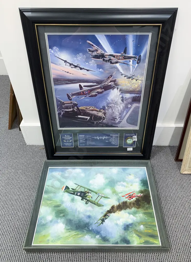 Tim Jenkins Ltd Ed Print Display together with Dom Wasley Oil Image 1++