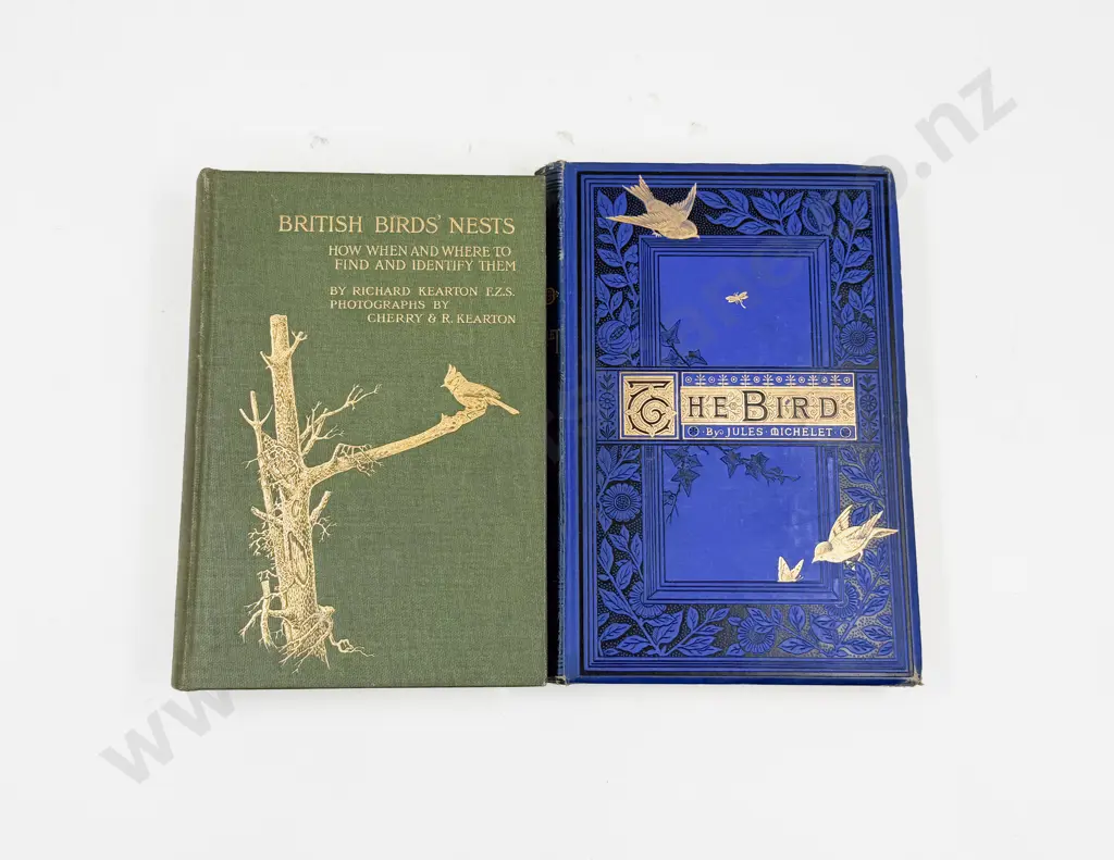 The Bird - By Jules MIchelet with Brittish Birds' Nests - By Richard Kearton Image 1++