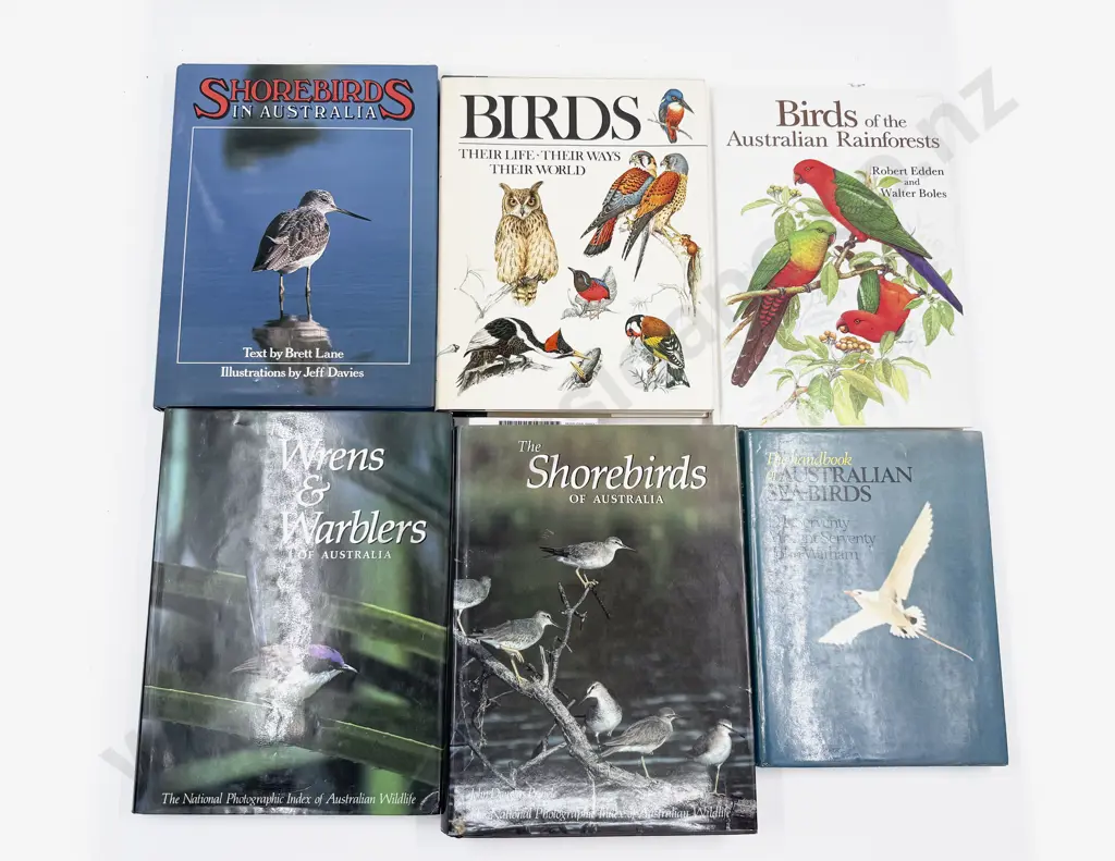 Six Assorted Ornithological Reference Image 1++
