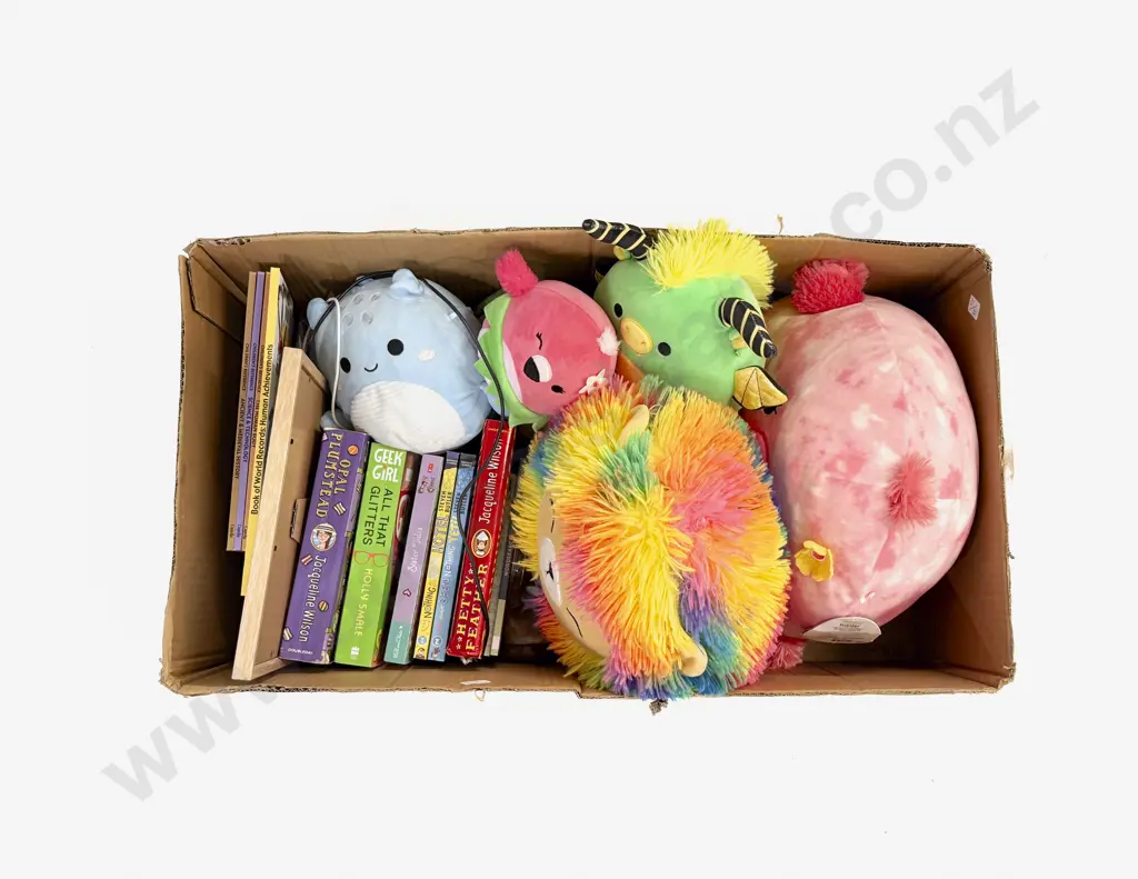 Collection of Squishmallows and Books etc Image 1++