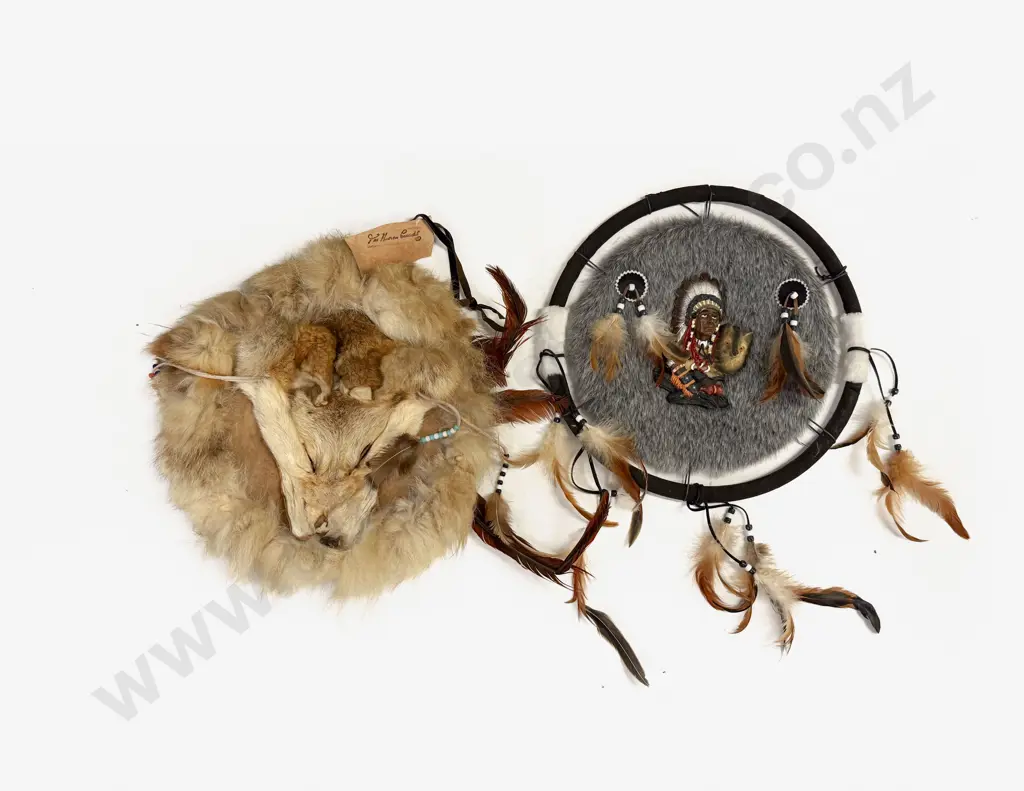 Coyote Dance Shield and American Indian Dream Catcher Image 1++