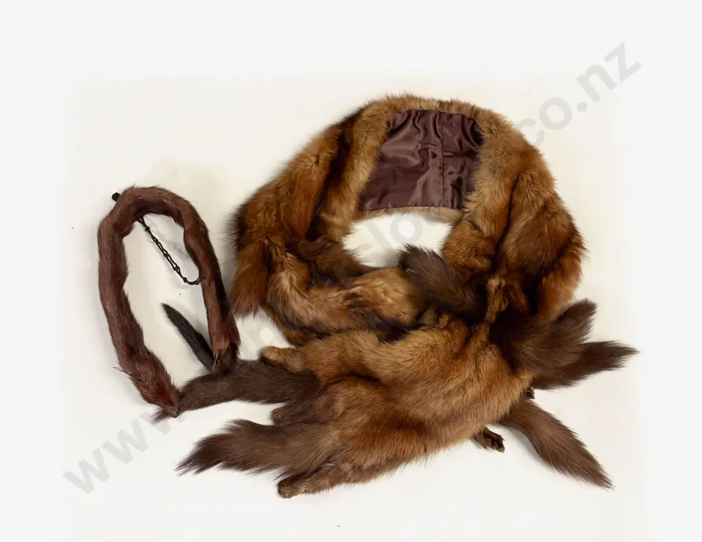 Fur Shawl and Other Image 1++