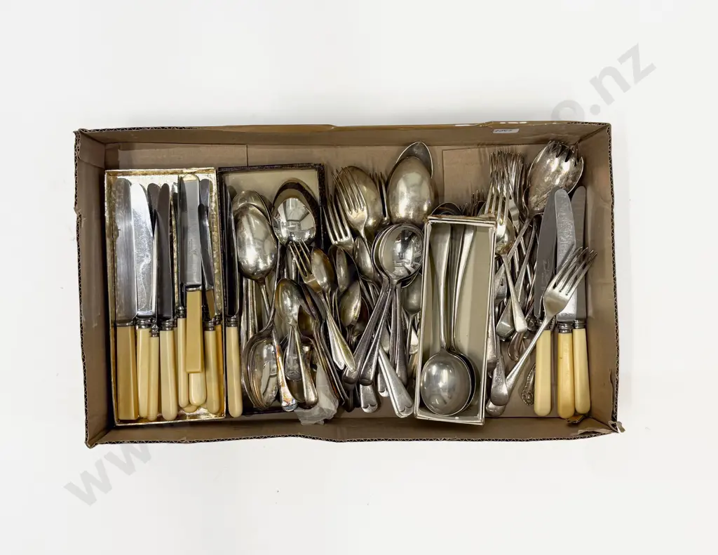 Quantity of Assorted S/P Cutlery & Assorted Bone-Handled Knives Image 1++