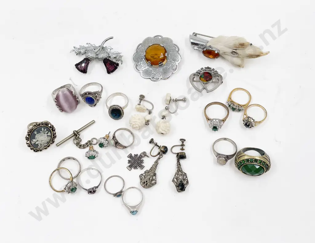 Collection of Assorted S/S and Costume Jewellery Image 1++