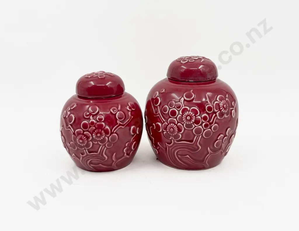 Graduated Pair of Crown Lynn Ginger Jars Image 1++