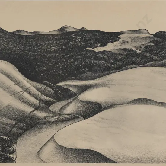 Donald Binney (1940 - 2012) - Beyond Wainamu Te Henga