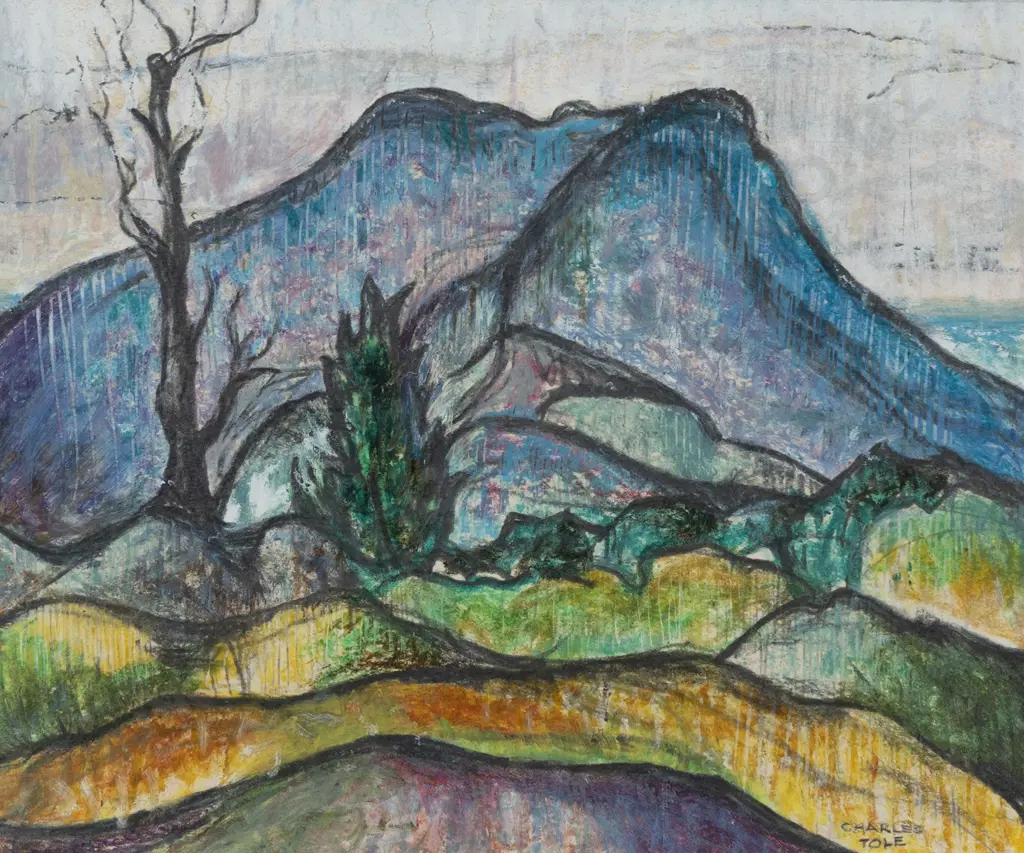 Charles Tole (1903 - 1988) - Hill Landscape - Taupo Image 1++