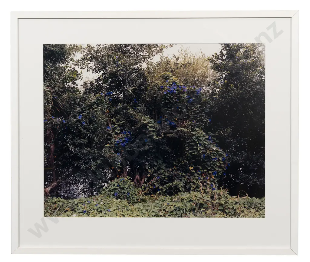 Derek Henderson (b 1963) - Tuakau Image 1++