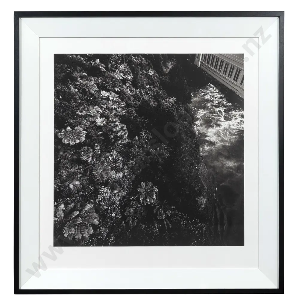 Patrick Reynolds (b 1962) - Arapuni Image 1++