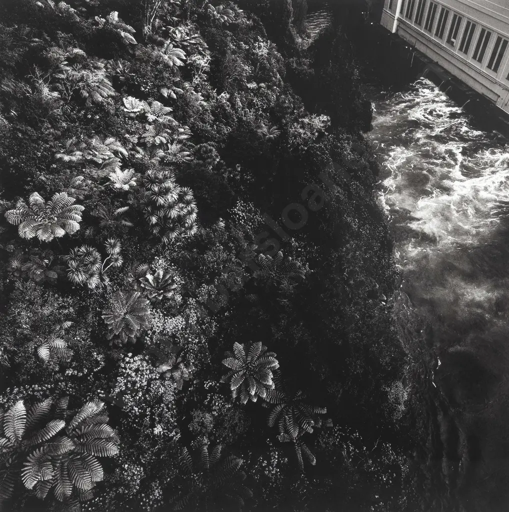Patrick Reynolds (b 1962) - Arapuni Image 1++