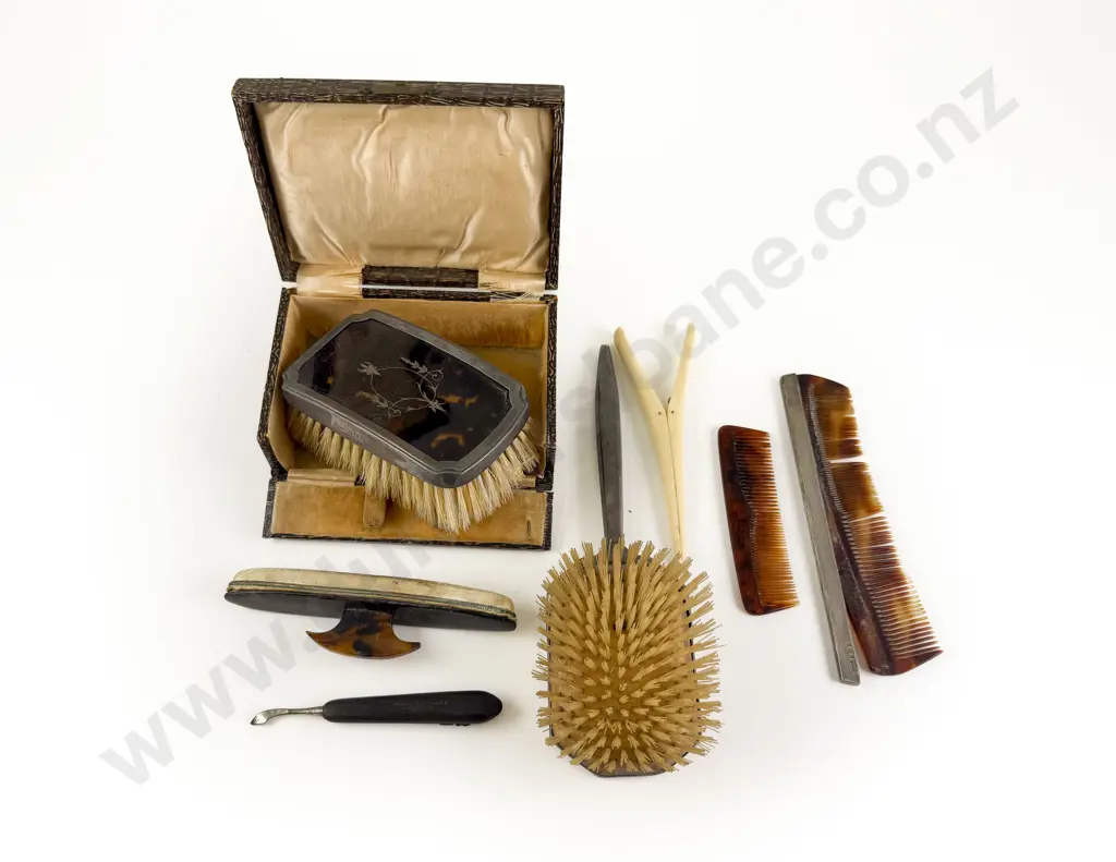 Cased Tortoise Shell & S/S Brush with other brush and combs glove stretchers Image 1++