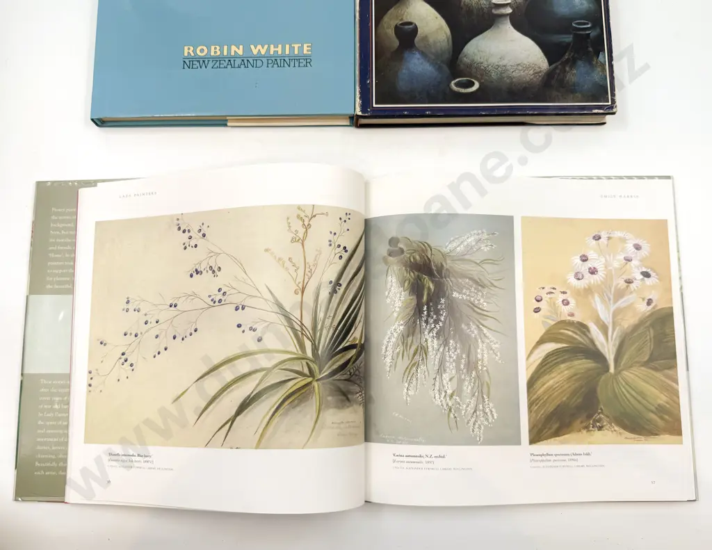 Seven Assorted NZ Reference Including Robin White Image 1++