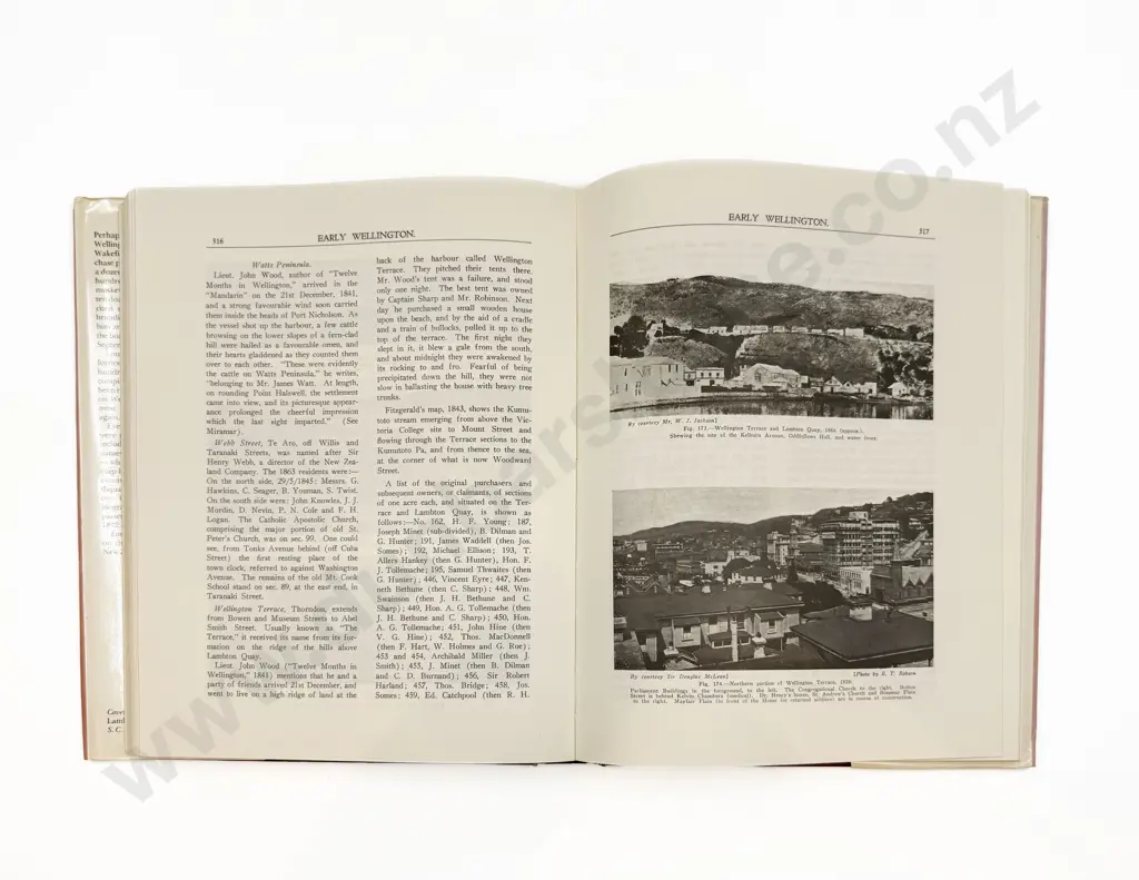 "Early Wellington" by Louis E Ward Image 1++