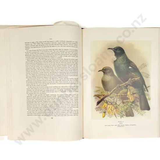 Buller's Birds of NZ