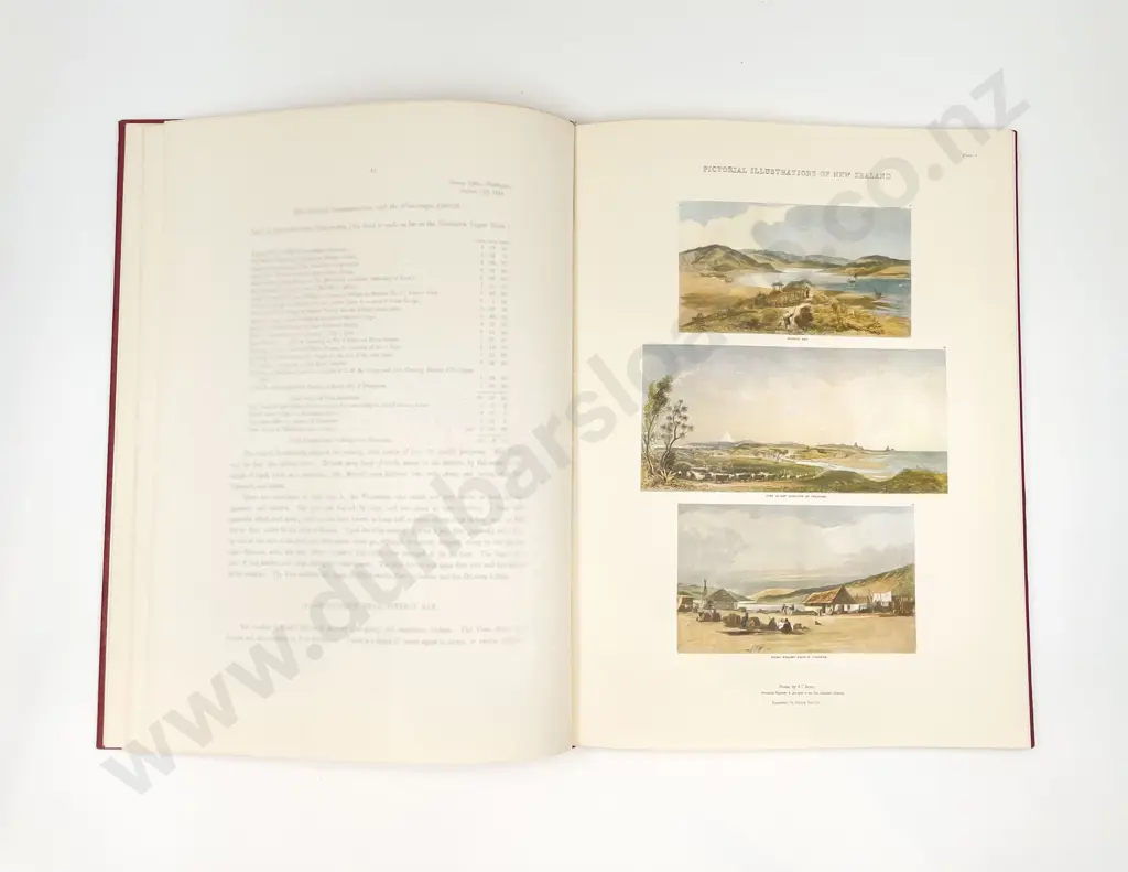 Pictorial Illustrations of NZ Image 1++