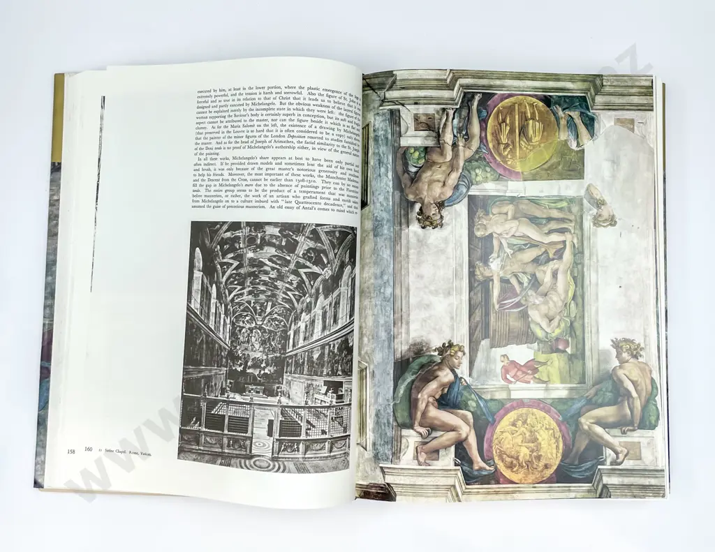 The Compete Work of Michelangelo Image 1++