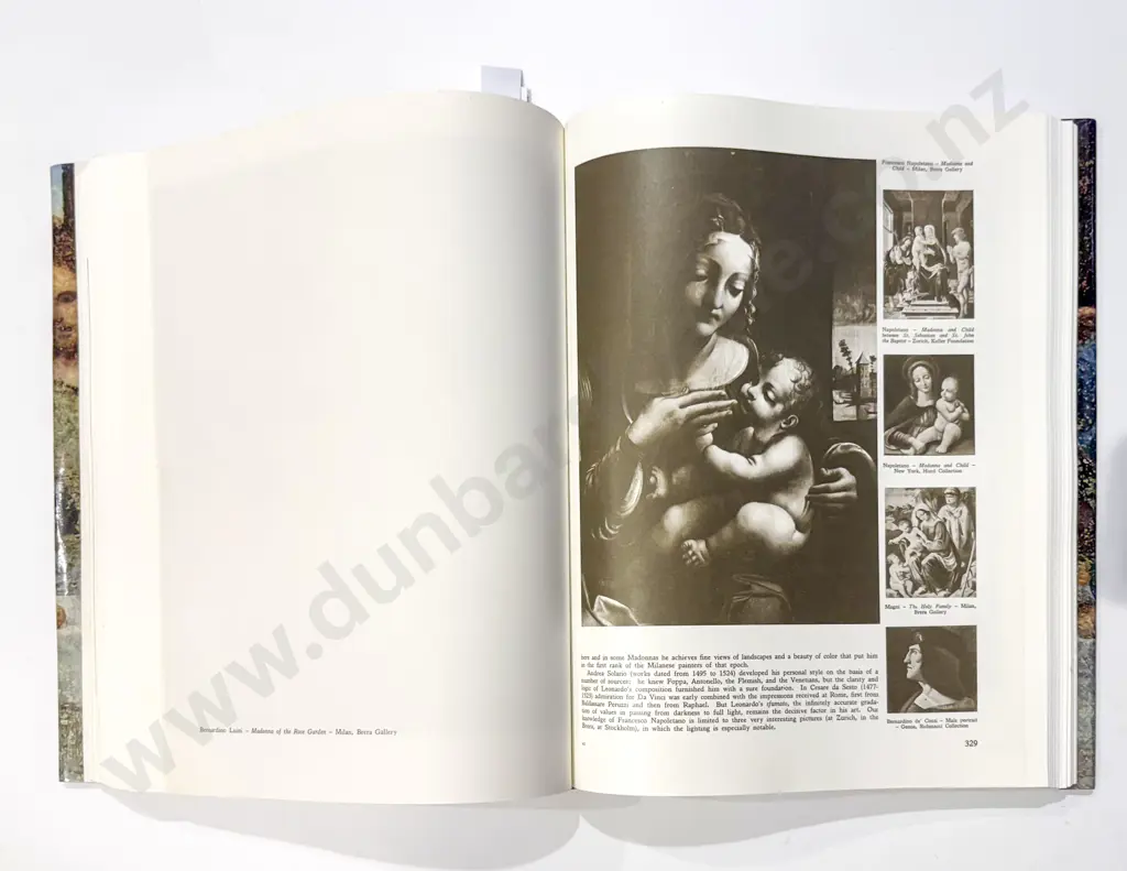 Leonardo Da Vinci Image 1++