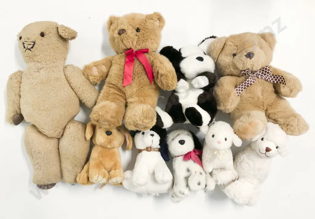 Collection Teddy Bears and Soft Toys Image 1++