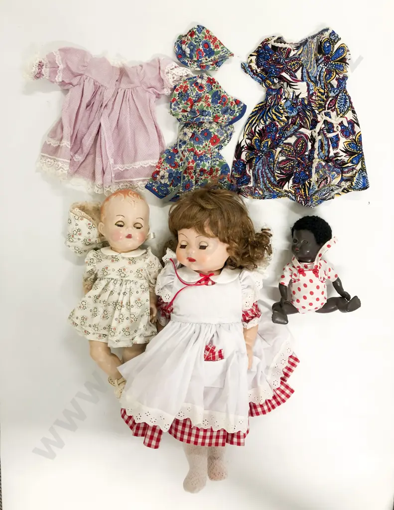 NZ Pedigree Walkie Talkie and Two Baby Pedigree Dolls Image 1++
